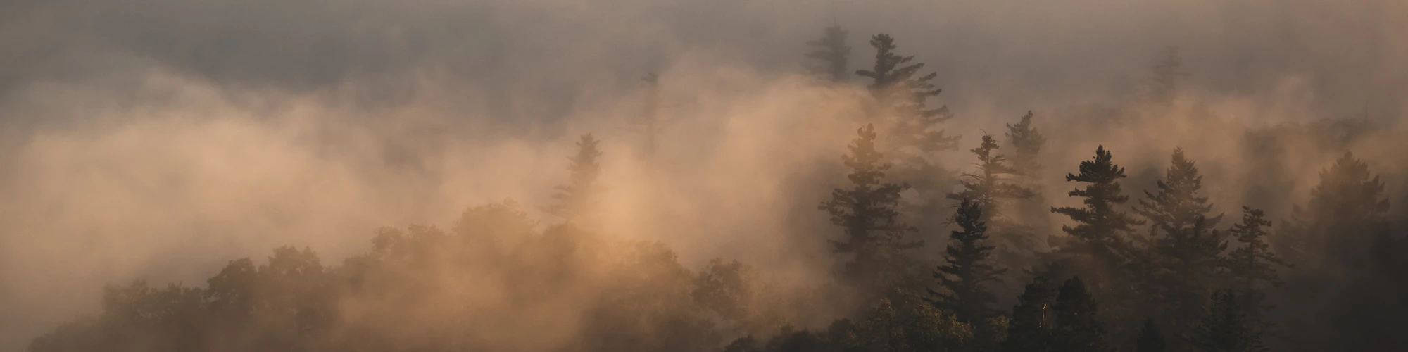 DAN HOLZ PHOTOGRAPHY